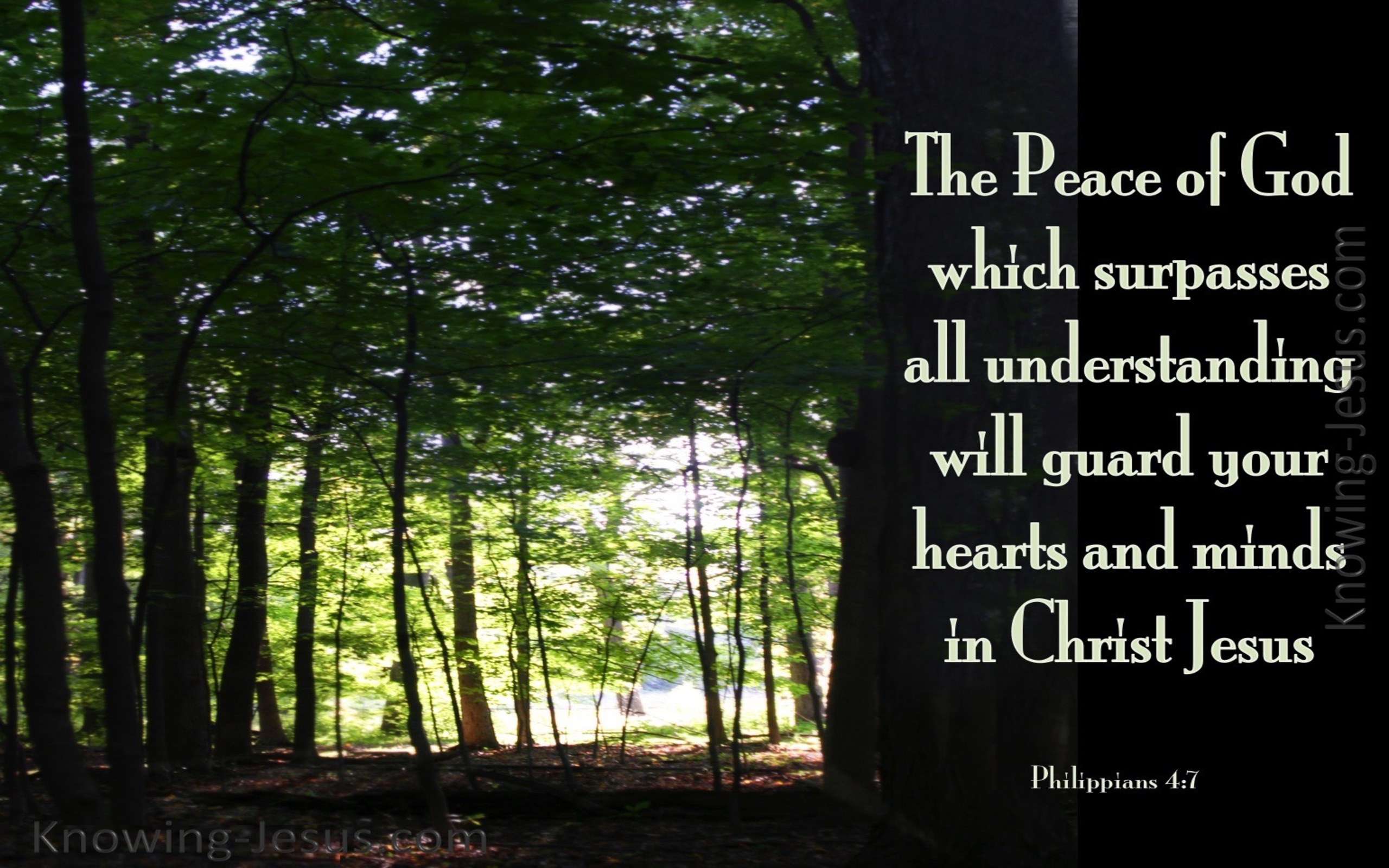 Philippians 4:7 TheThe Peace Of God (green)